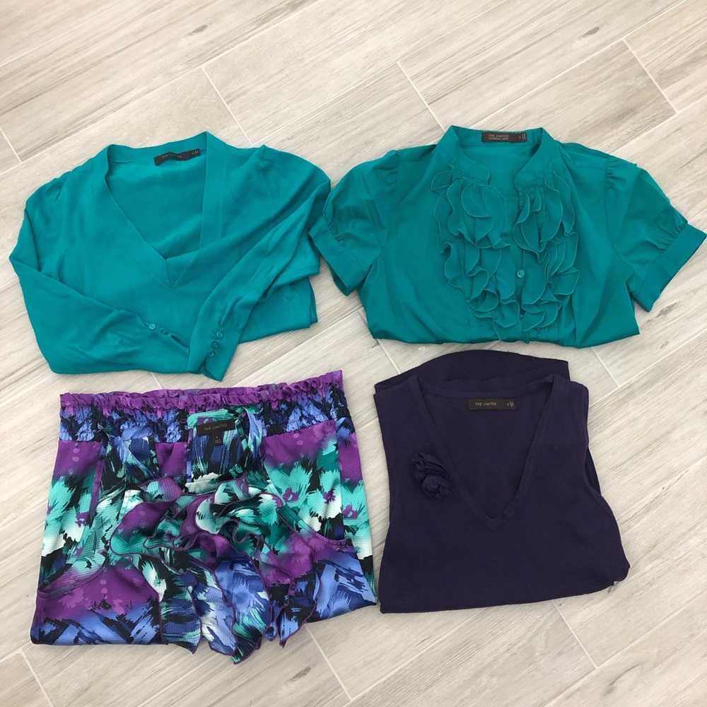 Purple and Teal The Limited Blouses